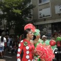 IMG_1171851