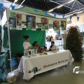 IMG_1172980