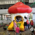 IMG_1173103