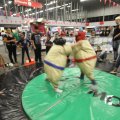 IMG_1173238