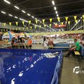IMG_1173334