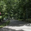 IMG_1173676