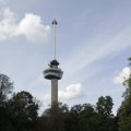 IMG_1173681