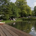 IMG_1173754