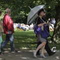 IMG_1173775