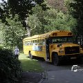 IMG_1173777