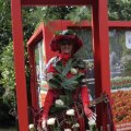 IMG_1173806