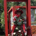 IMG_1173807