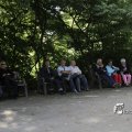 IMG_1173947