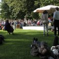 IMG_1174104