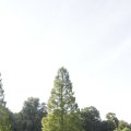 IMG_1174150
