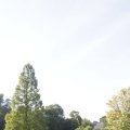 IMG_1174151