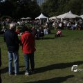 IMG_1174172
