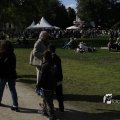 IMG_1174176
