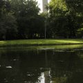 IMG_1174413