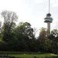 IMG_1174424