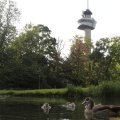 IMG_1174425