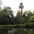 IMG_1174427
