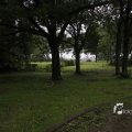 IMG_1174438