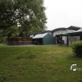 IMG_1174443