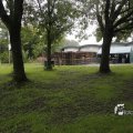 IMG_1174446