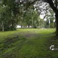 IMG_1174447