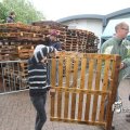 IMG_1174636