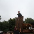 IMG_1174645