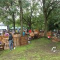 IMG_1174681