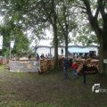 IMG_1174777