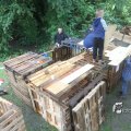 IMG_1174829