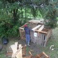 IMG_1174846