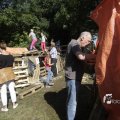IMG_1174865