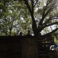 IMG_1174881