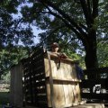 IMG_1174885