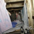 IMG_1175885