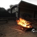 IMG_1176052