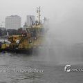 IMG_1183981