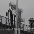 IMG_1184022