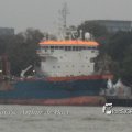 IMG_1184103