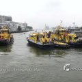 IMG_1184113