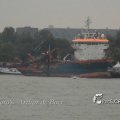 IMG_1184119