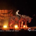IMG_1184164