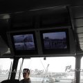 IMG_1184253