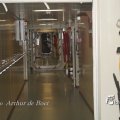 IMG_1184316