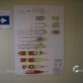 IMG_1184317
