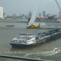 IMG_1184383