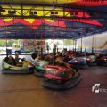 IMG_1181550