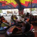 IMG_1181554