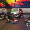 IMG_1181558